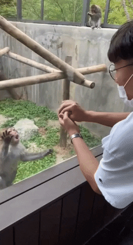 jyujin giphyupload GIF