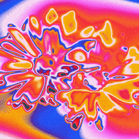 Rainbow Flower GIF by Toke