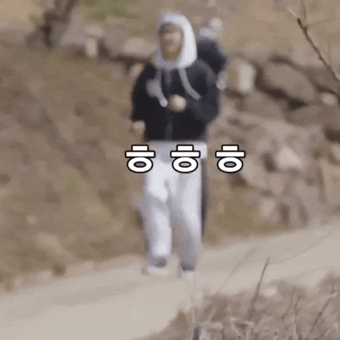 세븐틴 Running GIF