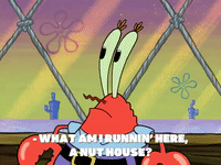 season 7 episode 20 GIF by SpongeBob SquarePants