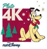 Rundisney Sticker by Disney Sports