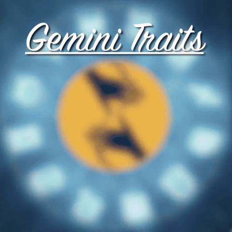 Gemini Traits