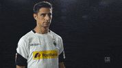 serious borussia moenchengladbach GIF by Bundesliga