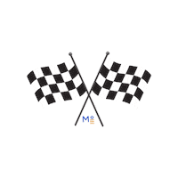 Racing F1 Sticker by Meridian°