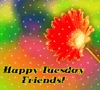 Happy Tuesday GIF