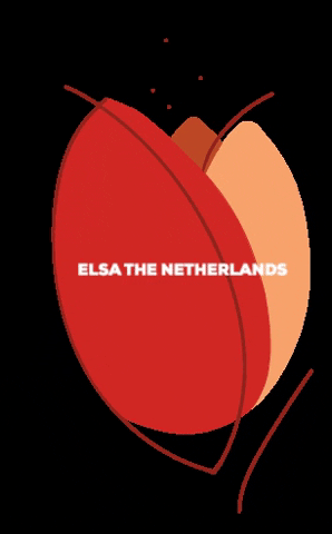 elsathenetherlands giphygifmaker elsanlmcc GIF