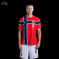 Fifa World Cup Uefa GIF by Respective