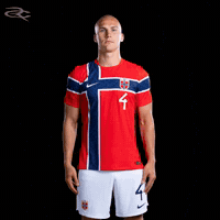 Fifa World Cup Uefa GIF by Respective