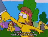 homer simpson episode 6 GIF