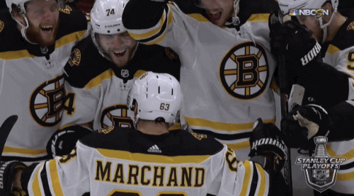 happy ice hockey GIF by NHL