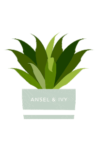 plants leaves Sticker by Ansel & Ivy