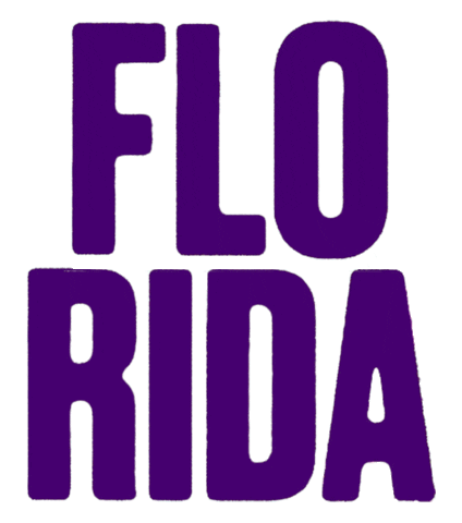 Flo Rida Concert Sticker by ZM