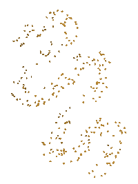 Star Sticker