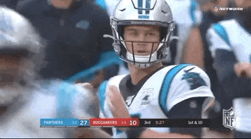 Carolina Panthers Football GIF by NFL