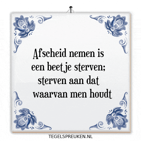 Humor Nl GIF by Tegelspreuken.nl