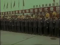 zheng zhi GIF