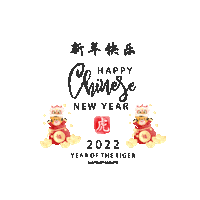 Happy New Year Festival Sticker by 360 Tour Toronto