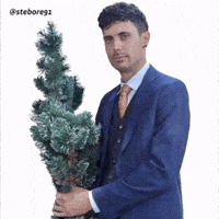 Merry Christmas Dancing GIF