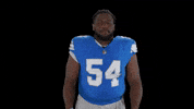 Football Nfl GIF by Detroit Lions
