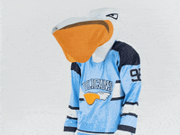 PelicansFi hockey mascot ice hockey pelicans GIF