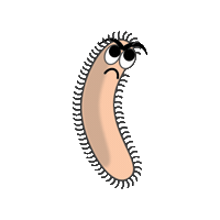 Angry Bibi Sticker by Listelik