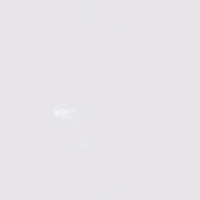 Pokemon Tcg GIF by Pokémon