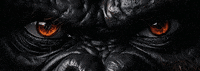 dieselrcorp angry face mad eyes GIF