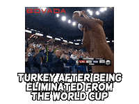 World Cup 2026 Sticker by Bovada
