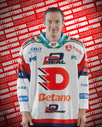 Hockey Czech GIF by HC Dynamo Pardubice