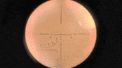 Free Fire GIF by Woodblock