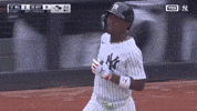 Celebrate New York Yankees GIF by MLB