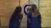 cnvb 2018cnvb GIF by Carson-Newman Athletics