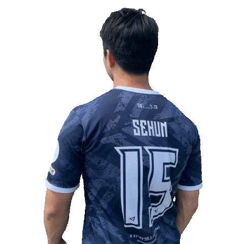 Football Sport Sticker
