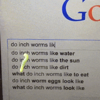 inch worm GIF