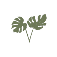 Osgif Sticker by Cleo Pure Water