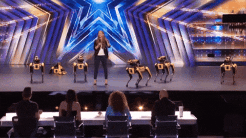 38papagoid giphygifmaker robots boston dynamics robodogs GIF