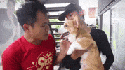 bie the ska GIF