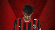 Frankfurt Vbl GIF by Bundesliga