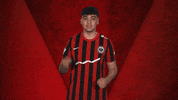 Frankfurt Vbl GIF by Bundesliga