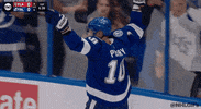 Ice Hockey Hug GIF by NHL