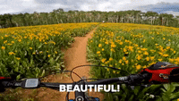 Mountain Biker's Headcam Captures Wildflowers