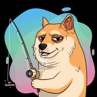 Shiba Inu Wow GIF by Doge Pound