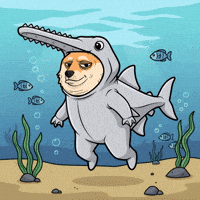 Shiba Inu Swimming GIF by Doge Pound