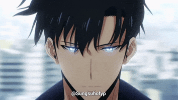 Solo Leveling Sung GIF