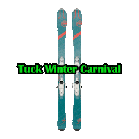 Twc Sticker by tuckwintercarnival