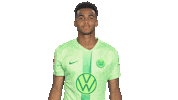Germany Love Sticker by VfL Wolfsburg