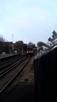Swan Delays Train and Commuters as It Takes a Walk