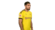 Posing Line Up Sticker by Bundesliga