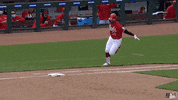 Celebration Baseball GIF by MLB