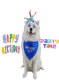 Birthday Sammy Sticker